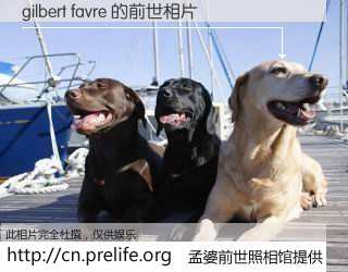 #孟婆前世照相馆# 【gilbert favre 的前世相片】我们都曾从奈何桥上走过，喝下三碗忘川之水烹煮的孟婆汤，忘却了前尘旧事。孟婆前世照相馆，保存着你前世的数码相片。gilbert favre 的前世相片，有图有真相：