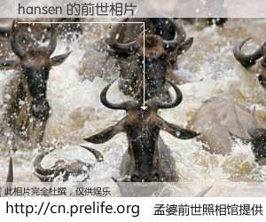 #孟婆前世照相馆# 【hansen 的前世相片】我们都曾从奈何桥上走过,喝下三碗忘川之水烹煮的孟婆汤,忘却了前尘旧事。孟婆前世照相馆,保存着你前世的数码相片。hansen 的前世相片,有图有真相: