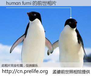 #孟婆前世照相馆# 【human furni 的前世相片】我们都曾从奈何桥上走过，喝下三碗忘川之水烹煮的孟婆汤，忘却了前尘旧事。孟婆前世照相馆，保存着你前世的数码相片。human furni 的前世相片，有图有真相：
