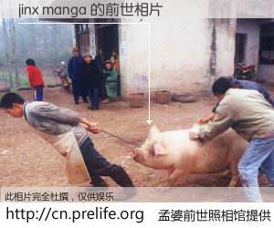 #孟婆前世照相馆# 【jinx manga 的前世相片】我们都曾从奈何桥上走过，喝下三碗忘川之水烹煮的孟婆汤，忘却了前尘旧事。孟婆前世照相馆，保存着你前世的数码相片。jinx manga 的前世相片，有图有真相：