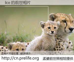 #孟婆前世照相馆# 【lice 的前世相片】我们都曾从奈何桥上走过，喝下三碗忘川之水烹煮的孟婆汤，忘却了前尘旧事。孟婆前世照相馆，保存着你前世的数码相片。lice 的前世相片，有图有真相：