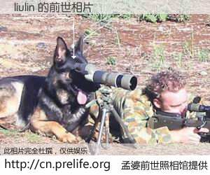 #孟婆前世照相馆# 【liulin 的前世相片】我们都曾从奈何桥上走过，喝下三碗忘川之水烹煮的孟婆汤，忘却了前尘旧事。孟婆前世照相馆，保存着你前世的数码相片。liulin 的前世相片，有图有真相：