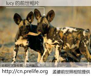 #孟婆前世照相馆# 【lucy 的前世相片】我们都曾从奈何桥上走过，喝下三碗忘川之水烹煮的孟婆汤，忘却了前尘旧事。孟婆前世照相馆，保存着你前世的数码相片。lucy 的前世相片，有图有真相：