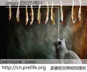 #孟婆前世照相馆# 【pingze 的前世相片】我们都曾从奈何桥上走过，喝下三碗忘川之水烹煮的孟婆汤，忘却了前尘旧事。孟婆前世照相馆，保存着你前世的数码相片。pingze 的前世相片，有图有真相：