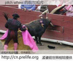 #孟婆前世照相馆# 【pitch wheel 的前世相片】我们都曾从奈何桥上走过，喝下三碗忘川之水烹煮的孟婆汤，忘却了前尘旧事。孟婆前世照相馆，保存着你前世的数码相片。pitch wheel 的前世相片，有图有真相：