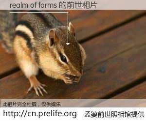 #孟婆前世照相馆# 【realm of forms 的前世相片】我们都曾从奈何桥上走过，喝下三碗忘川之水烹煮的孟婆汤，忘却了前尘旧事。孟婆前世照相馆，保存着你前世的数码相片。realm of forms 的前世相片，有图有真相：