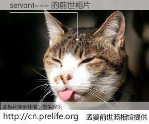#孟婆前世照相馆# 【servant~~~ 的前世相片】我们都曾从奈何桥上走过，喝下三碗忘川之水烹煮的孟婆汤，忘却了前尘旧事。孟婆前世照相馆，保存着你前世的数码相片。servant~~~ 的前世相片，有图有真相：