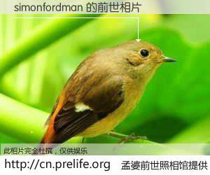 #孟婆前世照相馆# 【simonfordman 的前世相片】我们都曾从奈何桥上走过，喝下三碗忘川之水烹煮的孟婆汤，忘却了前尘旧事。孟婆前世照相馆，保存着你前世的数码相片。simonfordman 的前世相片，有图有真相：