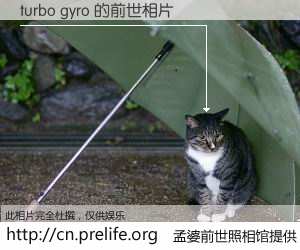#孟婆前世照相馆# 【turbo gyro 的前世相片】我们都曾从奈何桥上走过，喝下三碗忘川之水烹煮的孟婆汤，忘却了前尘旧事。孟婆前世照相馆，保存着你前世的数码相片。turbo gyro 的前世相片，有图有真相：