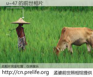 #孟婆前世照相馆# 【u-47 的前世相片】我们都曾从奈何桥上走过，喝下三碗忘川之水烹煮的孟婆汤，忘却了前尘旧事。孟婆前世照相馆，保存着你前世的数码相片。u-47 的前世相片，有图有真相：