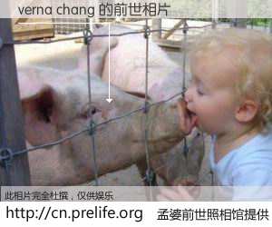 #孟婆前世照相馆# 【verna chang 的前世相片】我们都曾从奈何桥上走过，喝下三碗忘川之水烹煮的孟婆汤，忘却了前尘旧事。孟婆前世照相馆，保存着你前世的数码相片。verna chang 的前世相片，有图有真相：
