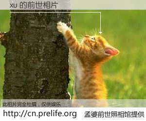 #孟婆前世照相馆# 【xu 的前世相片】我们都曾从奈何桥上走过，喝下三碗忘川之水烹煮的孟婆汤，忘却了前尘旧事。孟婆前世照相馆，保存着你前世的数码相片。xu 的前世相片，有图有真相：