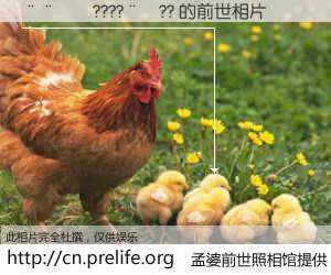 #孟婆前世照相馆# 【����????��?? 的前世相片】我们都曾从奈何桥上走过，喝下三碗忘川之水烹煮的孟婆汤，忘却了前尘旧事。孟婆前世照相馆，保存着你前世的数码相片。����????��?? 的前世相片，有图有真相：