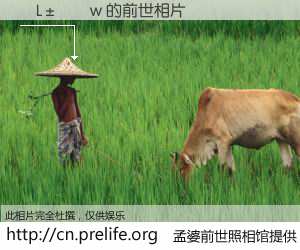 #孟婆前世照相馆# 【�L���w 的前世相片】我们都曾从奈何桥上走过，喝下三碗忘川之水烹煮的孟婆汤，忘却了前尘旧事。孟婆前世照相馆，保存着你前世的数码相片。�L���w 的前世相片，有图有真相：