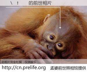 #孟婆前世照相馆# 【�\�t�� 的前世相片】我们都曾从奈何桥上走过，喝下三碗忘川之水烹煮的孟婆汤，忘却了前尘旧事。孟婆前世照相馆，保存着你前世的数码相片。�\�t�� 的前世相片，有图有真相：