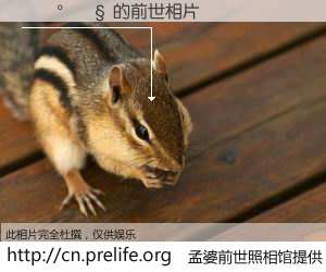 #孟婆前世照相馆# 【����� 的前世相片】我们都曾从奈何桥上走过，喝下三碗忘川之水烹煮的孟婆汤，忘却了前尘旧事。孟婆前世照相馆，保存着你前世的数码相片。����� 的前世相片，有图有真相：