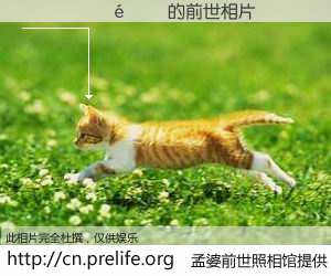 #孟婆前世照相馆# 【�������� 的前世相片】我们都曾从奈何桥上走过，喝下三碗忘川之水烹煮的孟婆汤，忘却了前尘旧事。孟婆前世照相馆，保存着你前世的数码相片。�������� 的前世相片，有图有真相：