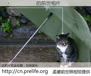 #孟婆前世照相馆# 【������ 的前世相片】我们都曾从奈何桥上走过，喝下三碗忘川之水烹煮的孟婆汤，忘却了前尘旧事。孟婆前世照相馆，保存着你前世的数码相片。������ 的前世相片，有图有真相：