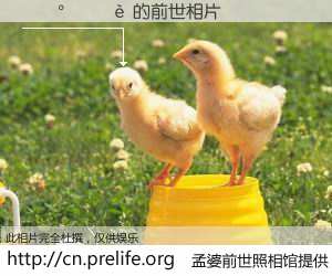#孟婆前世照相馆# 【������ 的前世相片】我们都曾从奈何桥上走过，喝下三碗忘川之水烹煮的孟婆汤，忘却了前尘旧事。孟婆前世照相馆，保存着你前世的数码相片。������ 的前世相片，有图有真相：