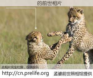 #孟婆前世照相馆# 【���� 的前世相片】我们都曾从奈何桥上走过，喝下三碗忘川之水烹煮的孟婆汤，忘却了前尘旧事。孟婆前世照相馆，保存着你前世的数码相片。���� 的前世相片，有图有真相：