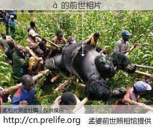 #孟婆前世照相馆# 【������ 的前世相片】我们都曾从奈何桥上走过，喝下三碗忘川之水烹煮的孟婆汤，忘却了前尘旧事。孟婆前世照相馆，保存着你前世的数码相片。������ 的前世相片，有图有真相：