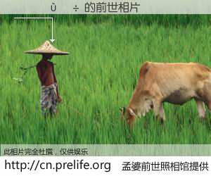 #孟婆前世照相馆# 【������ 的前世相片】我们都曾从奈何桥上走过，喝下三碗忘川之水烹煮的孟婆汤，忘却了前尘旧事。孟婆前世照相馆，保存着你前世的数码相片。������ 的前世相片，有图有真相：