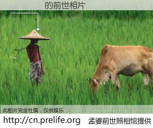 #孟婆前世照相馆# 【ð־�� 的前世相片】我们都曾从奈何桥上走过，喝下三碗忘川之水烹煮的孟婆汤，忘却了前尘旧事。孟婆前世照相馆，保存着你前世的数码相片。ð־�� 的前世相片，有图有真相：