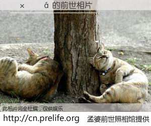 #孟婆前世照相馆# 【Ī���� 的前世相片】我们都曾从奈何桥上走过，喝下三碗忘川之水烹煮的孟婆汤，忘却了前尘旧事。孟婆前世照相馆，保存着你前世的数码相片。Ī���� 的前世相片，有图有真相：