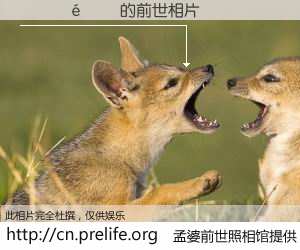 #孟婆前世照相馆# 【������ 的前世相片】我们都曾从奈何桥上走过，喝下三碗忘川之水烹煮的孟婆汤，忘却了前尘旧事。孟婆前世照相馆，保存着你前世的数码相片。������ 的前世相片，有图有真相：