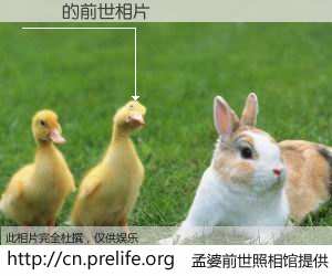 #孟婆前世照相馆# 【ʯͷ 的前世相片】我们都曾从奈何桥上走过，喝下三碗忘川之水烹煮的孟婆汤，忘却了前尘旧事。孟婆前世照相馆，保存着你前世的数码相片。ʯͷ 的前世相片，有图有真相：