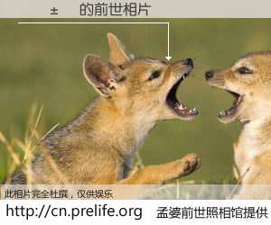 #孟婆前世照相馆# 【�ﺣ�� 的前世相片】我们都曾从奈何桥上走过，喝下三碗忘川之水烹煮的孟婆汤，忘却了前尘旧事。孟婆前世照相馆，保存着你前世的数码相片。�ﺣ�� 的前世相片，有图有真相：