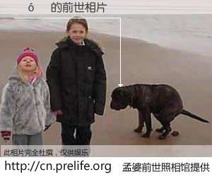 #孟婆前世照相馆# 【��ɭ 的前世相片】我们都曾从奈何桥上走过，喝下三碗忘川之水烹煮的孟婆汤，忘却了前尘旧事。孟婆前世照相馆，保存着你前世的数码相片。��ɭ 的前世相片，有图有真相：