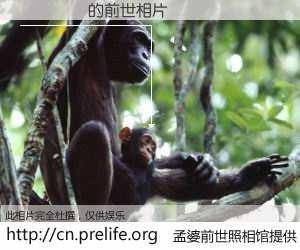 #孟婆前世照相馆# 【֣��ΰ 的前世相片】我们都曾从奈何桥上走过，喝下三碗忘川之水烹煮的孟婆汤，忘却了前尘旧事。孟婆前世照相馆，保存着你前世的数码相片。֣��ΰ 的前世相片，有图有真相：