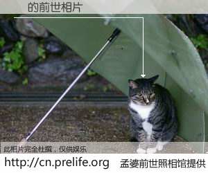 #孟婆前世照相馆# 【ַ 的前世相片】我们都曾从奈何桥上走过，喝下三碗忘川之水烹煮的孟婆汤，忘却了前尘旧事。孟婆前世照相馆，保存着你前世的数码相片。ַ 的前世相片，有图有真相：