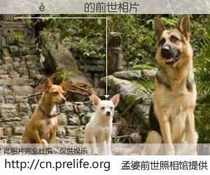 #孟婆前世照相馆# 【����� 的前世相片】我们都曾从奈何桥上走过，喝下三碗忘川之水烹煮的孟婆汤，忘却了前尘旧事。孟婆前世照相馆，保存着你前世的数码相片。����� 的前世相片，有图有真相：