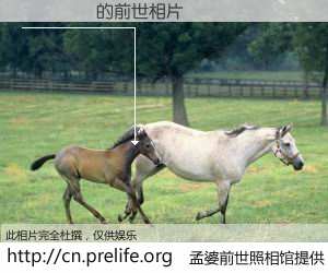 #孟婆前世照相馆# 【��Һ� 的前世相片】我们都曾从奈何桥上走过，喝下三碗忘川之水烹煮的孟婆汤，忘却了前尘旧事。孟婆前世照相馆，保存着你前世的数码相片。��Һ� 的前世相片，有图有真相：