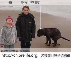 #孟婆前世照相馆# 【�罨�� 的前世相片】我们都曾从奈何桥上走过，喝下三碗忘川之水烹煮的孟婆汤，忘却了前尘旧事。孟婆前世照相馆，保存着你前世的数码相片。�罨�� 的前世相片，有图有真相：
