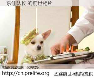 #孟婆前世照相馆# 【东仙队长 的前世相片】我们都曾从奈何桥上走过，喝下三碗忘川之水烹煮的孟婆汤，忘却了前尘旧事。孟婆前世照相馆，保存着你前世的数码相片。东仙队长 的前世相片，有图有真相：