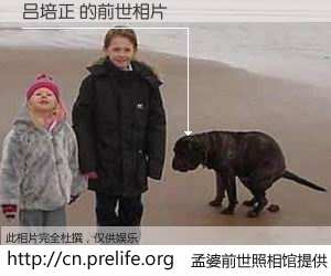 #孟婆前世照相馆# 【吕培正 的前世相片】我们都曾从奈何桥上走过，喝下三碗忘川之水烹煮的孟婆汤，忘却了前尘旧事。孟婆前世照相馆，保存着你前世的数码相片。吕培正 的前世相片，有图有真相：