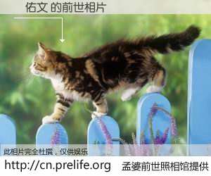 #孟婆前世照相馆# 【吳佑文 的前世相片】我们都曾从奈何桥上走过，喝下三碗忘川之水烹煮的孟婆汤，忘却了前尘旧事。孟婆前世照相馆，保存着你前世的数码相片。吳佑文 的前世相片，有图有真相：