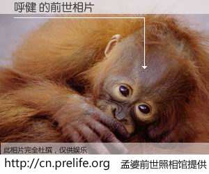 #孟婆前世照相馆# 【呼健 的前世相片】我们都曾从奈何桥上走过，喝下三碗忘川之水烹煮的孟婆汤，忘却了前尘旧事。孟婆前世照相馆，保存着你前世的数码相片。呼健 的前世相片，有图有真相：