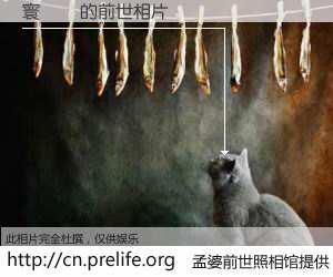 #孟婆前世照相馆# 【寰愯崷 的前世相片】我们都曾从奈何桥上走过，喝下三碗忘川之水烹煮的孟婆汤，忘却了前尘旧事。孟婆前世照相馆，保存着你前世的数码相片。寰愯崷 的前世相片，有图有真相：