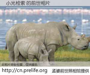 #孟婆前世照相馆# 【小光检索 的前世相片】我们都曾从奈何桥上走过，喝下三碗忘川之水烹煮的孟婆汤，忘却了前尘旧事。孟婆前世照相馆，保存着你前世的数码相片。小光检索 的前世相片，有图有真相：