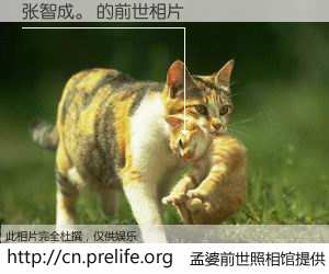 #孟婆前世照相馆# 【张智成。 的前世相片】我们都曾从奈何桥上走过，喝下三碗忘川之水烹煮的孟婆汤，忘却了前尘旧事。孟婆前世照相馆，保存着你前世的数码相片。张智成。 的前世相片，有图有真相：