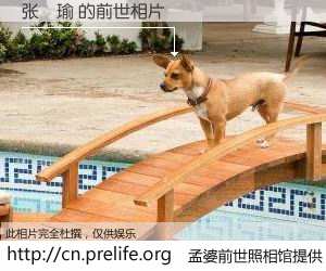 #孟婆前世照相馆# 【张璟瑜 的前世相片】我们都曾从奈何桥上走过，喝下三碗忘川之水烹煮的孟婆汤，忘却了前尘旧事。孟婆前世照相馆，保存着你前世的数码相片。张璟瑜 的前世相片，有图有真相：