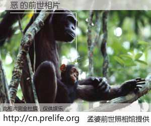 #孟婆前世照相馆# 【恶 的前世相片】我们都曾从奈何桥上走过，喝下三碗忘川之水烹煮的孟婆汤，忘却了前尘旧事。孟婆前世照相馆，保存着你前世的数码相片。恶 的前世相片，有图有真相：