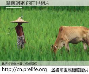 #孟婆前世照相馆# 【慧慈姐姐 的前世相片】我们都曾从奈何桥上走过，喝下三碗忘川之水烹煮的孟婆汤，忘却了前尘旧事。孟婆前世照相馆，保存着你前世的数码相片。慧慈姐姐 的前世相片，有图有真相：