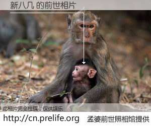 #孟婆前世照相馆# 【新八几 的前世相片】我们都曾从奈何桥上走过，喝下三碗忘川之水烹煮的孟婆汤，忘却了前尘旧事。孟婆前世照相馆，保存着你前世的数码相片。新八几 的前世相片，有图有真相：