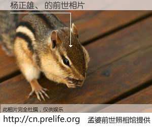 #孟婆前世照相馆# 【杨正雄、 的前世相片】我们都曾从奈何桥上走过，喝下三碗忘川之水烹煮的孟婆汤，忘却了前尘旧事。孟婆前世照相馆，保存着你前世的数码相片。杨正雄、 的前世相片，有图有真相：