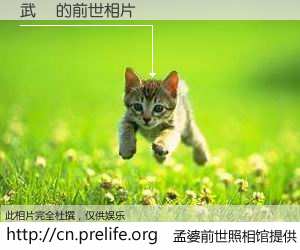 #孟婆前世照相馆# 【武嵚 的前世相片】我们都曾从奈何桥上走过，喝下三碗忘川之水烹煮的孟婆汤，忘却了前尘旧事。孟婆前世照相馆，保存着你前世的数码相片。武嵚 的前世相片，有图有真相：
